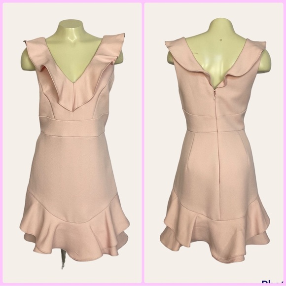 Ever New Melbourne Baby Pink Ruffled Bodycon Fully Lined Dress Women’s Size 8 - Picture 1 of 8